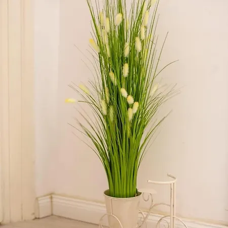 Luxury Ultra Apartamento